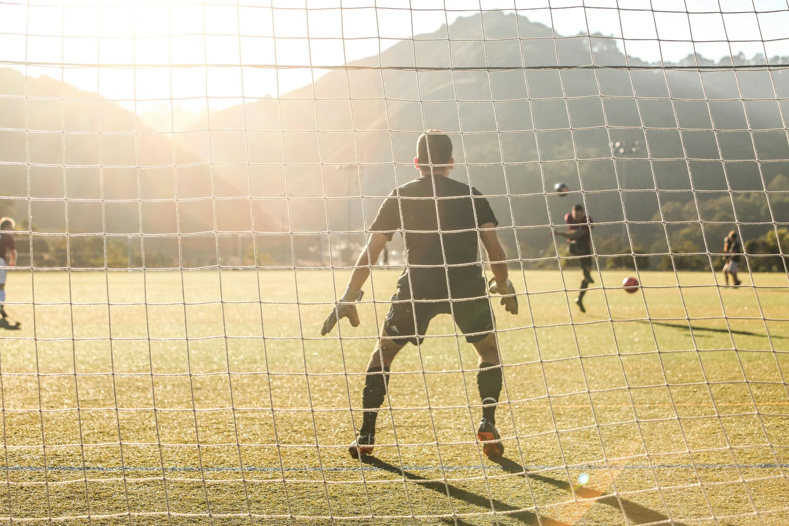 BOB电竞 观赛与阅读体验配图